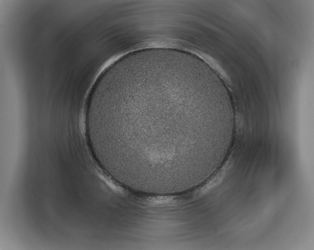 X0000112910846200908311235