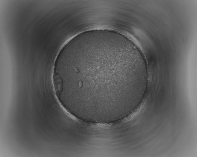 X0000112910847200908311235