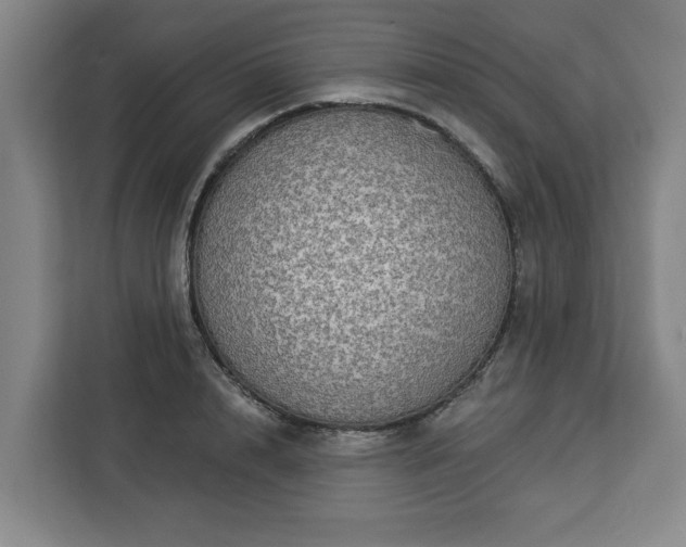 X0000112910848200908311235