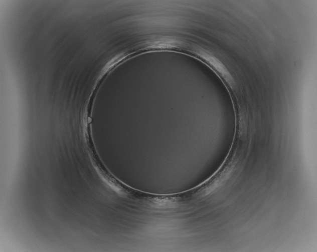 X0000112910850200908311236