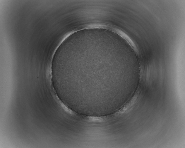 X0000112910852200908311236