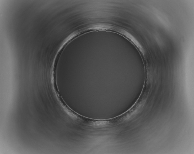 X0000112910853200908311236