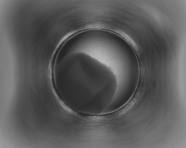 X0000112910854200908311236