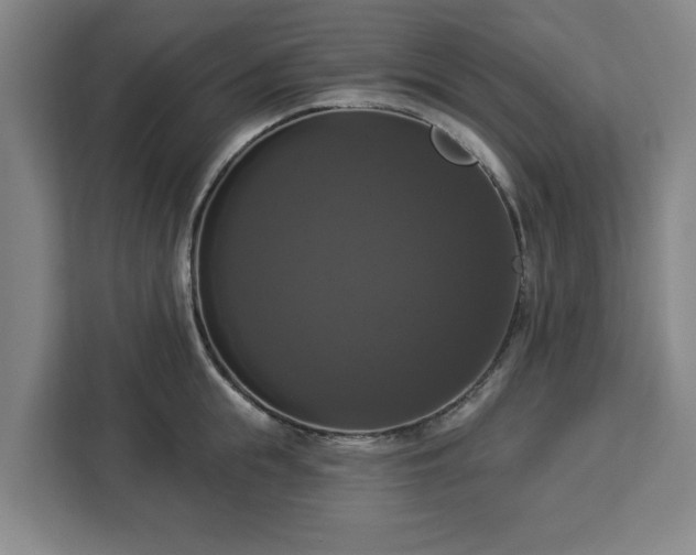 X0000112910855200908311236