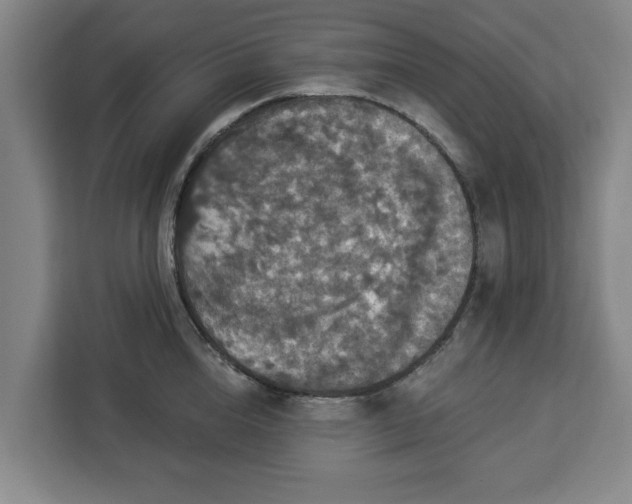 X0000112910856200908311236