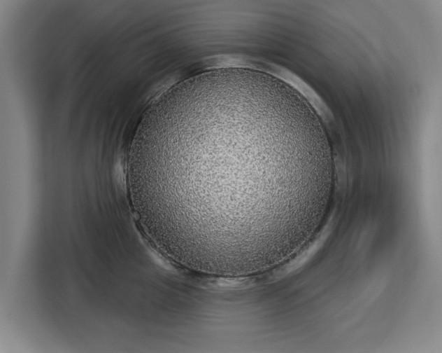 X0000112910857200908311236