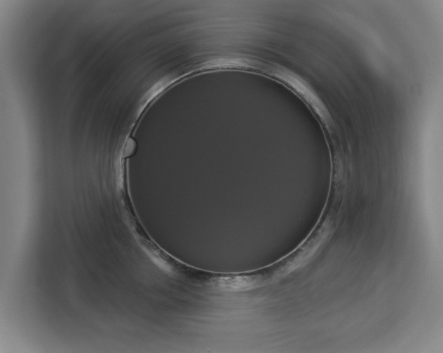 X0000112910858200908311236