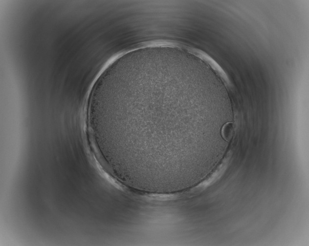 X0000112910860200908311236