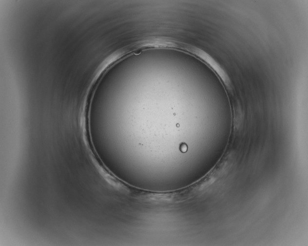 X0000112910861200908311236