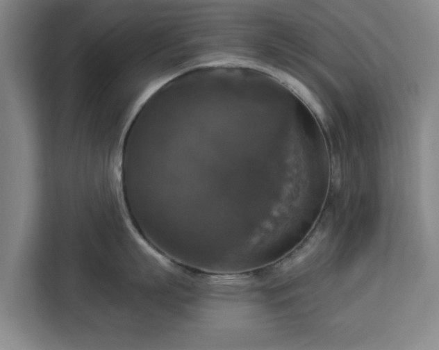 X0000112910863200908311236