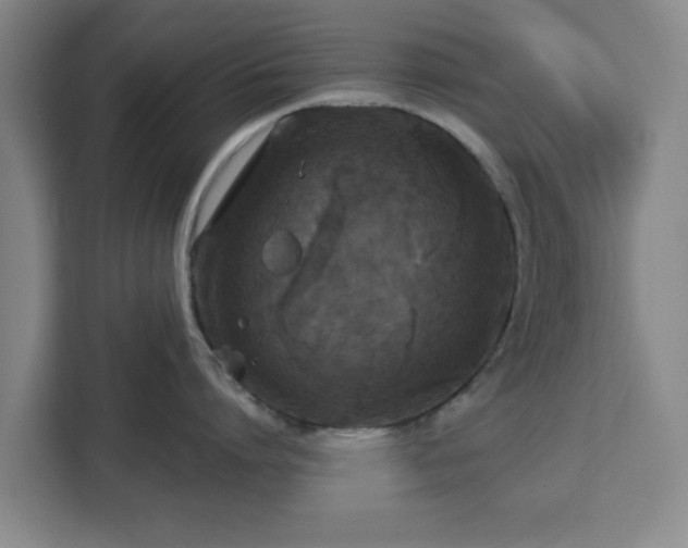 X0000112910864200908311236