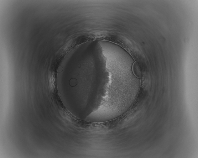 X0000112910866200908311235