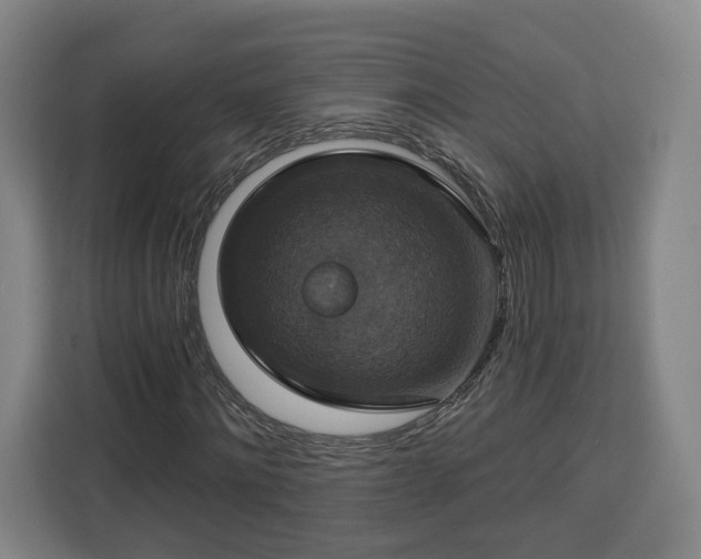 X0000112910868200908311235