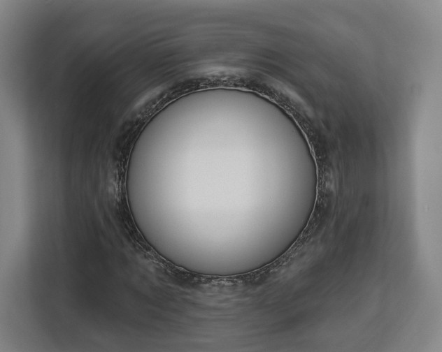 X0000112910869200908311235