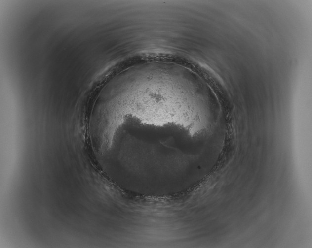 X0000112910870200908311235