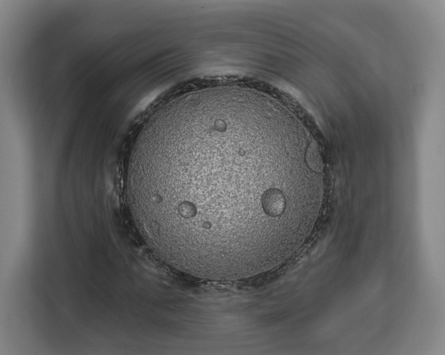 X0000112910871200908311235