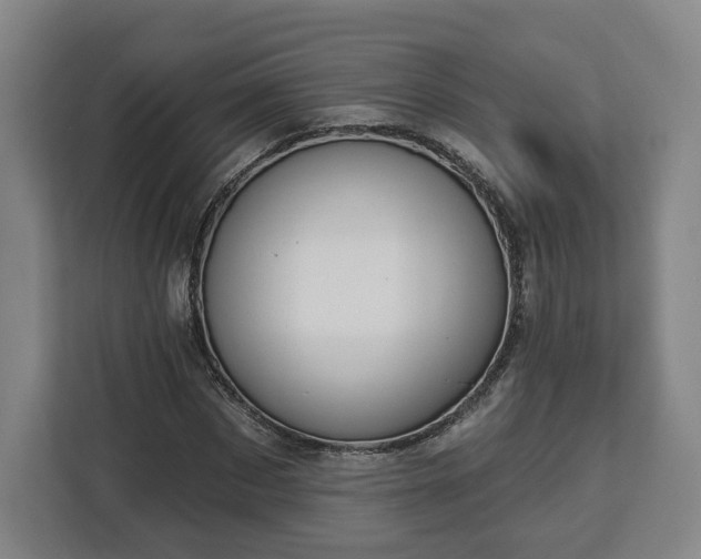 X0000112910873200908311235