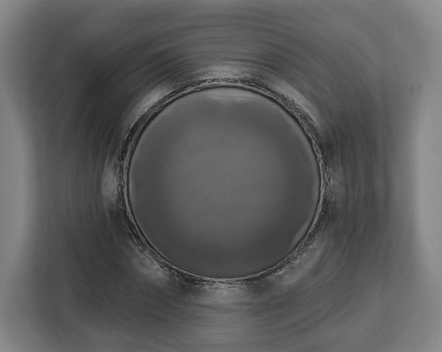 X0000112910874200908311235