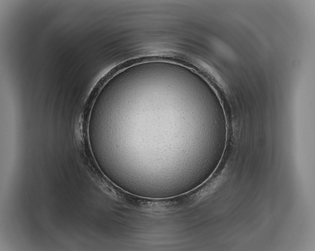 X0000112910875200908311235