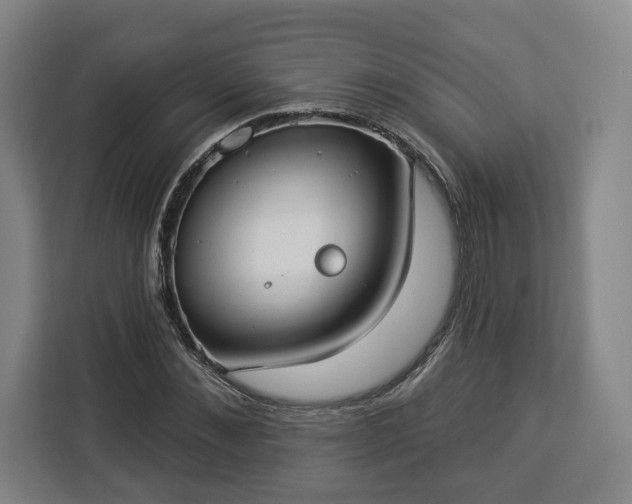 X0000112910876200908311235