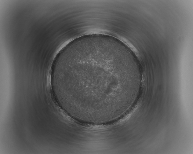 X0000112910877200908311235