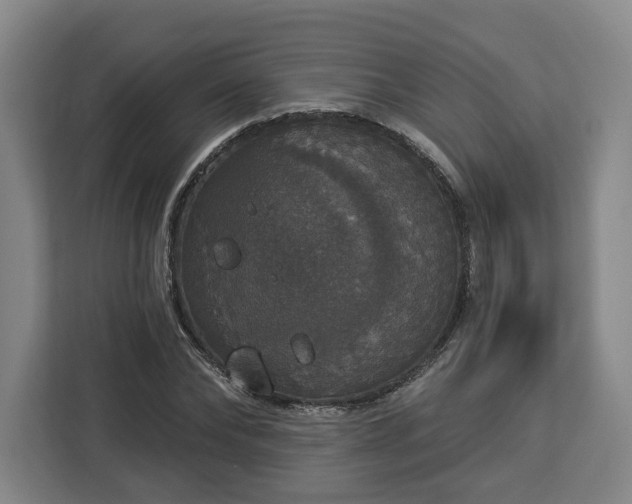 X0000112910878200908311235