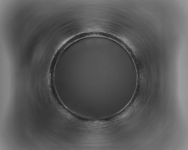 X0000112910879200908311235