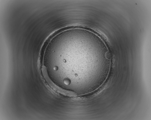 X0000112910880200908311235