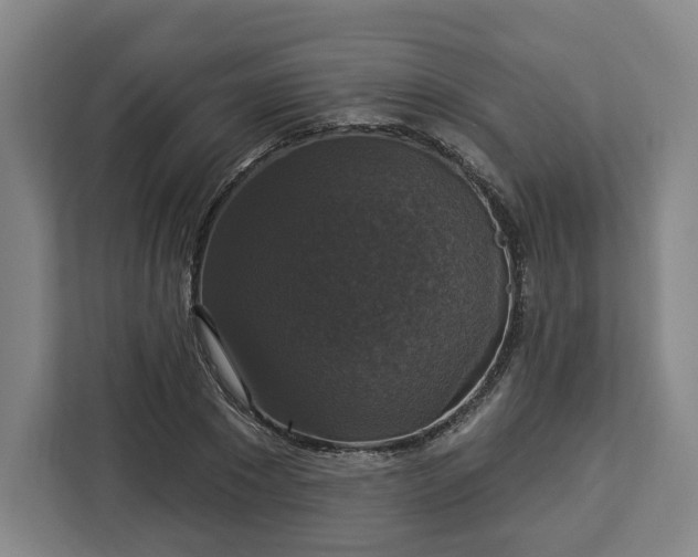 X0000112910881200908311235