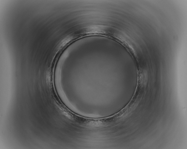 X0000112910882200908311235