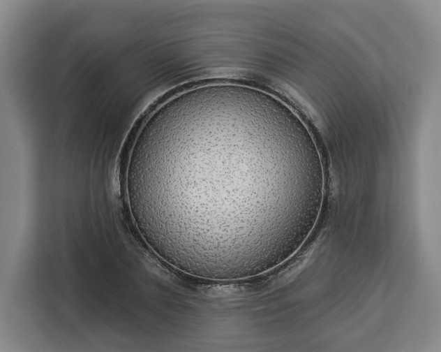 X0000112910883200908311235