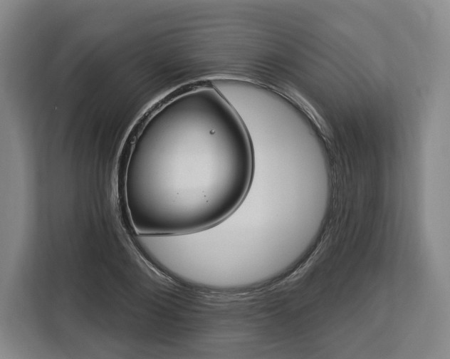 X0000112910884200908311235