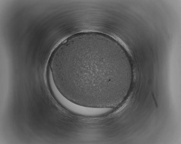 X0000112910885200908311235