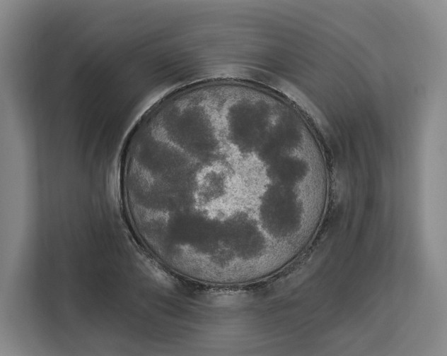 X0000112910886200908311235