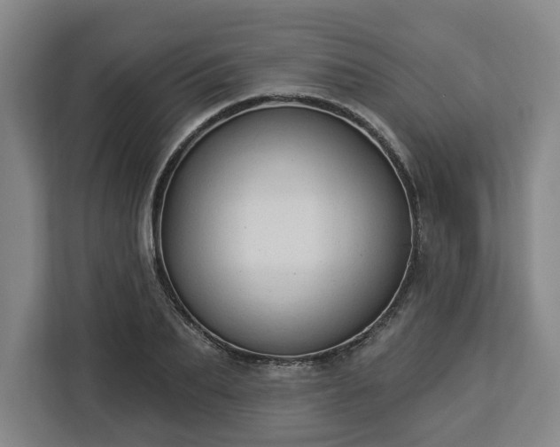 X0000112910887200908311235