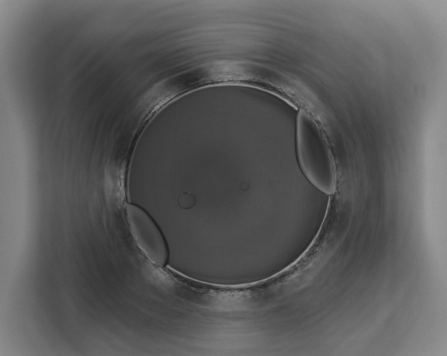 X0000112910889200908311235