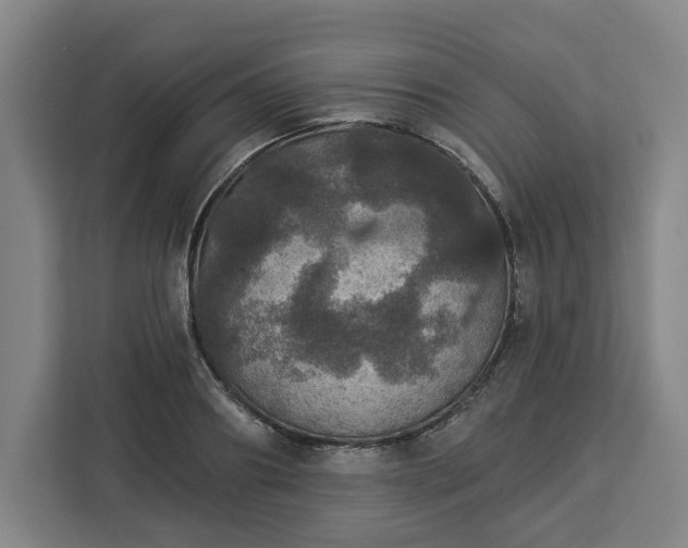 X0000112910890200908311235