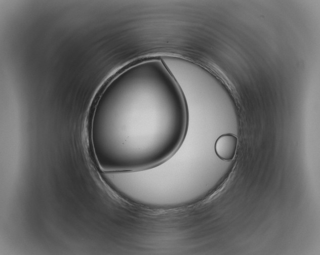 X0000112910892200908311235