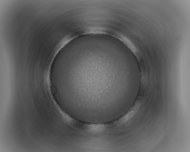 X0000112910893200908311235