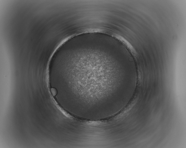 X0000112910894200908311235