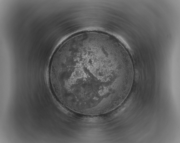 X0000112910895200908311235