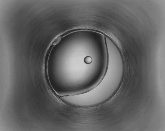 X0000112910896200908311235