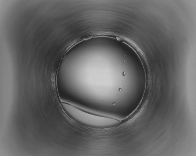 X0000112910897200908311235