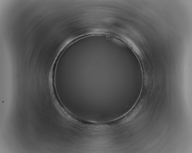 X0000112910899200908311235