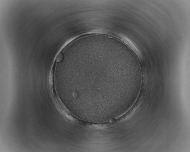 X0000112910900200908311235