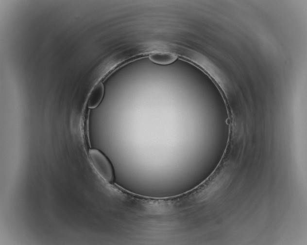 X0000112910901200908311235