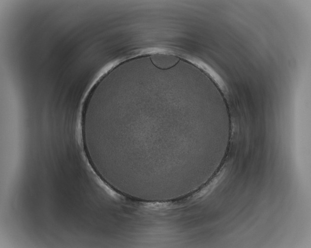 X0000112910902200908311235