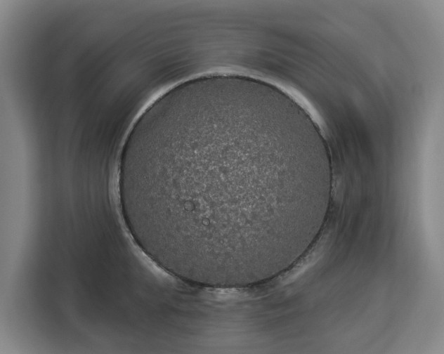 X0000112910903200908311235