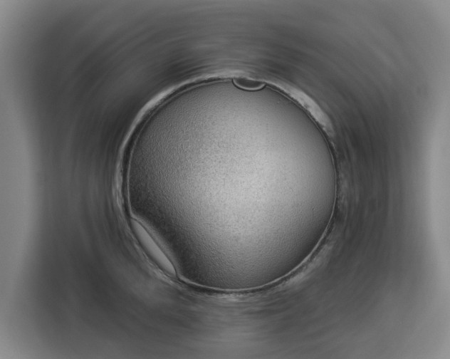 X0000112910904200908311235