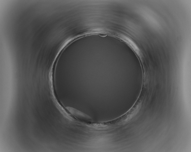 X0000112910907200908311235